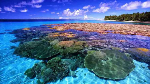 Bunaken: Surga Bawah Laut di Sulawesi Utara