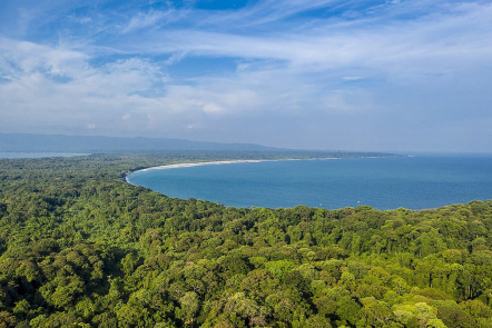 Ujung Kulon National Park: Keajaiban Alam di Pusat Keanekaragaman Hayati Indonesia